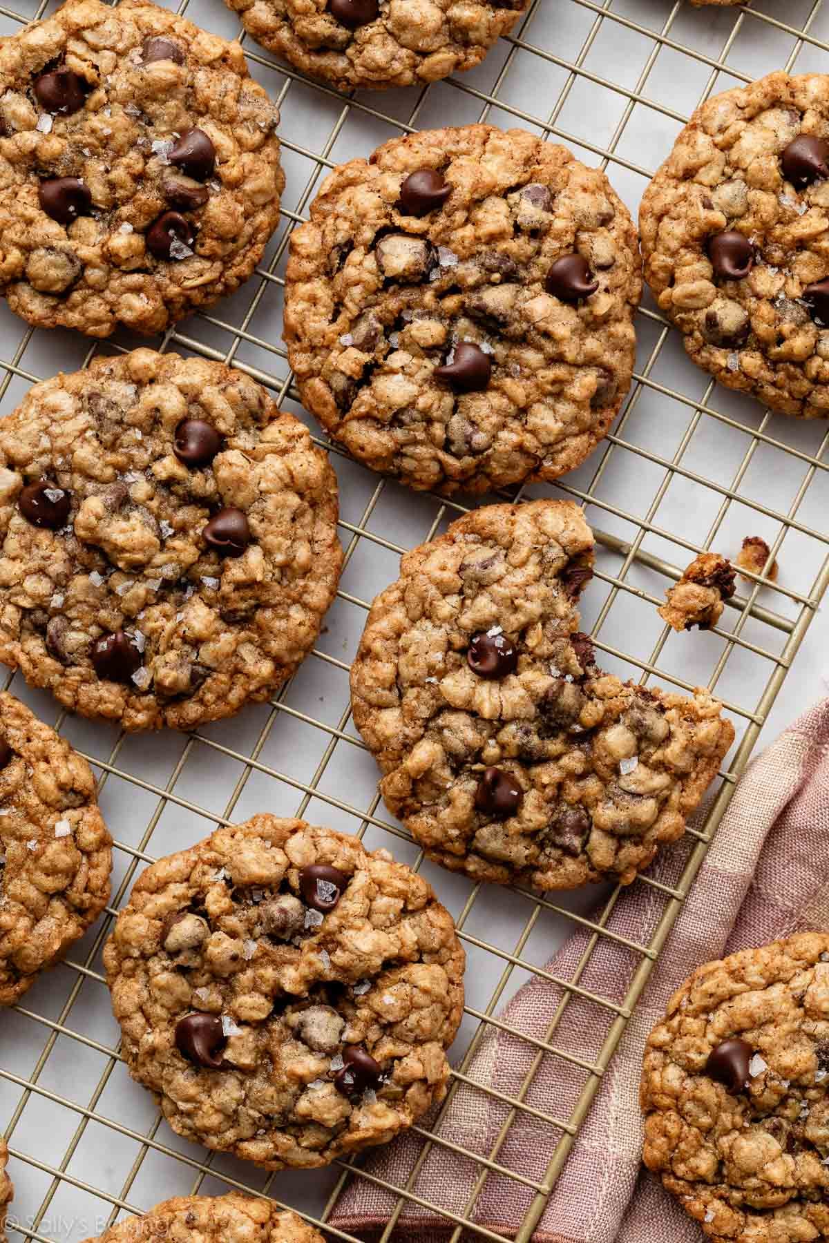 Oat Milk Cookies